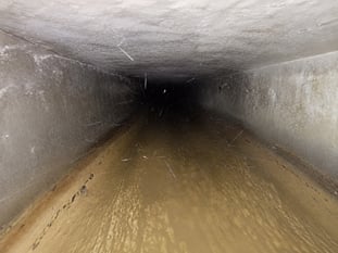 118305df-21c8-43bf-af85-0a33bec2edc9