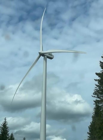 A wind turbine with trees around it against a grey and cloudy sky