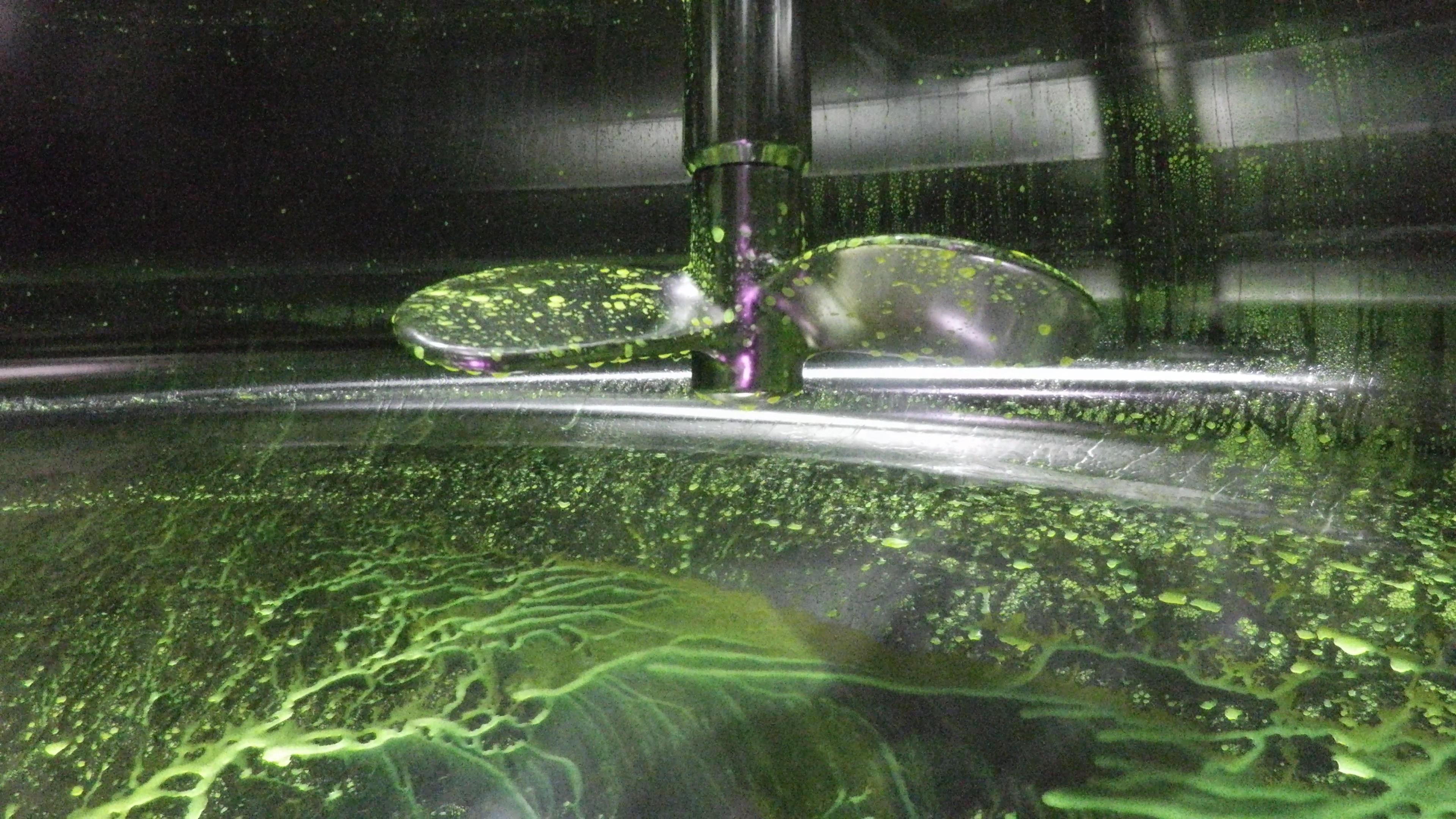 pharmaceutical-tank-inspection