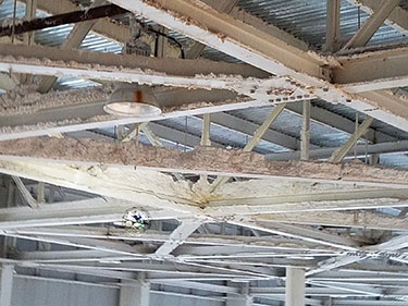 Manufacturing - Factory Indoor Ceiling