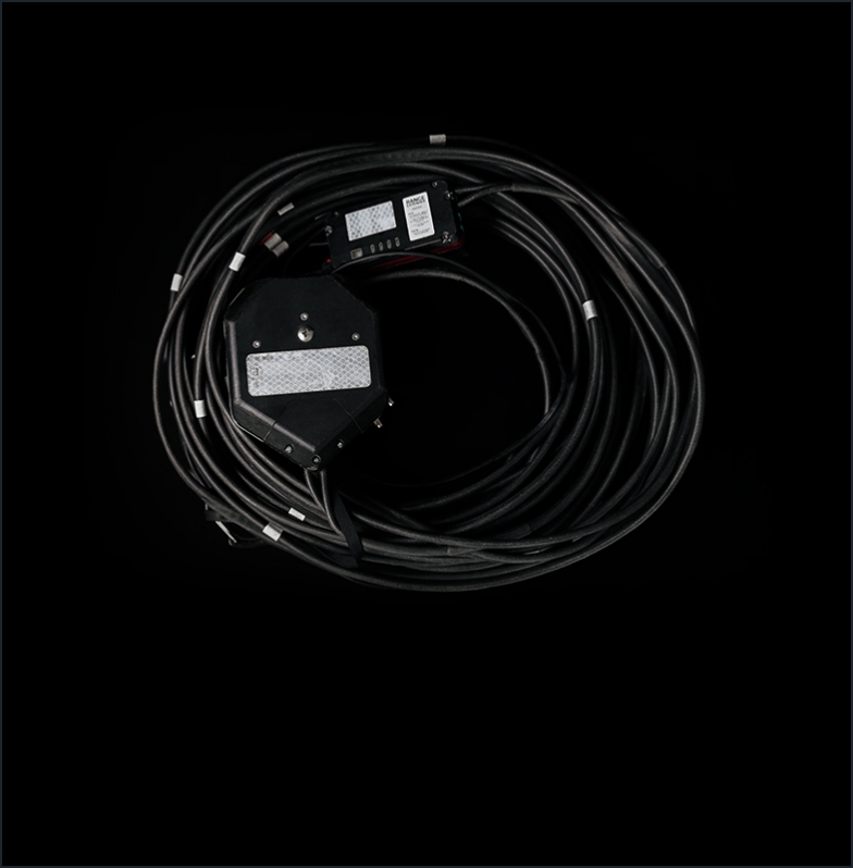 REX image