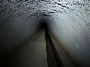 photo_3_313x234