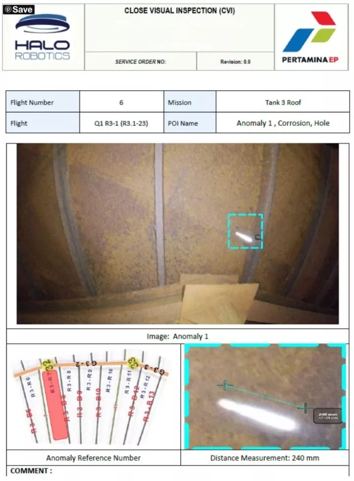 professional-drone-actionable-report